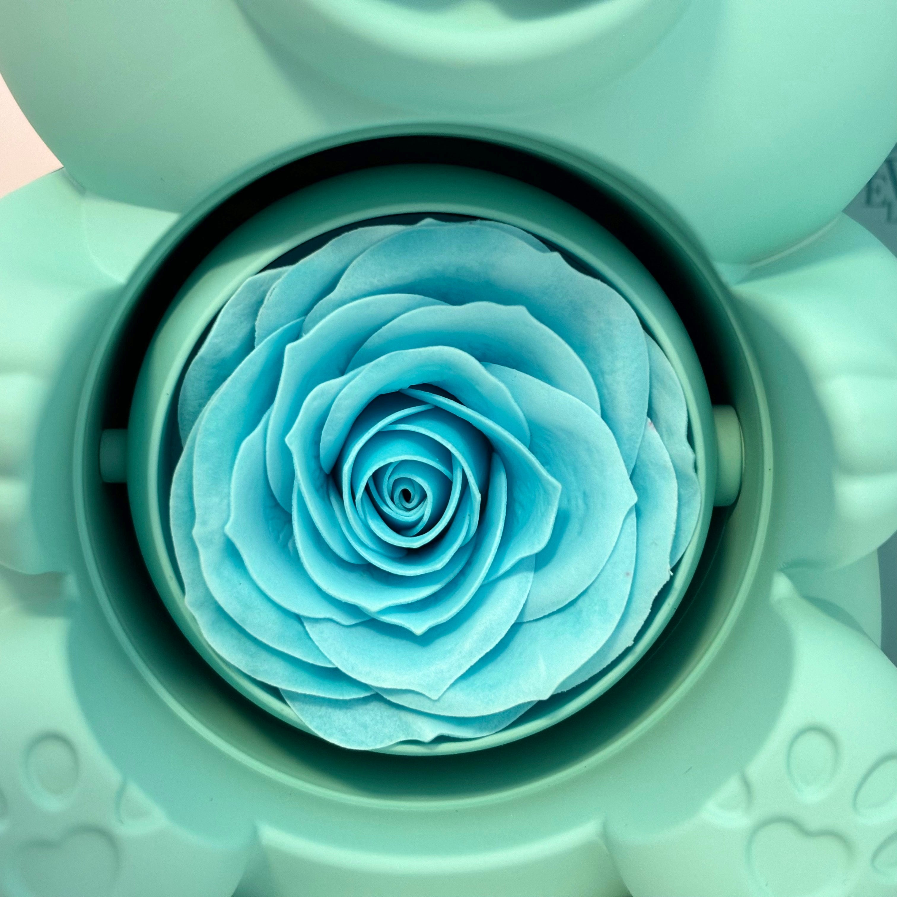 Teddy Bear Box with Engraved Necklace & Eternal Rose